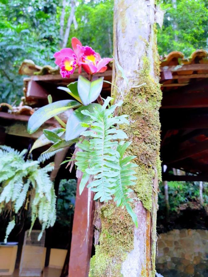 Pousada Recanto Dos Tangaras จูเกย์ ภายนอก รูปภาพ