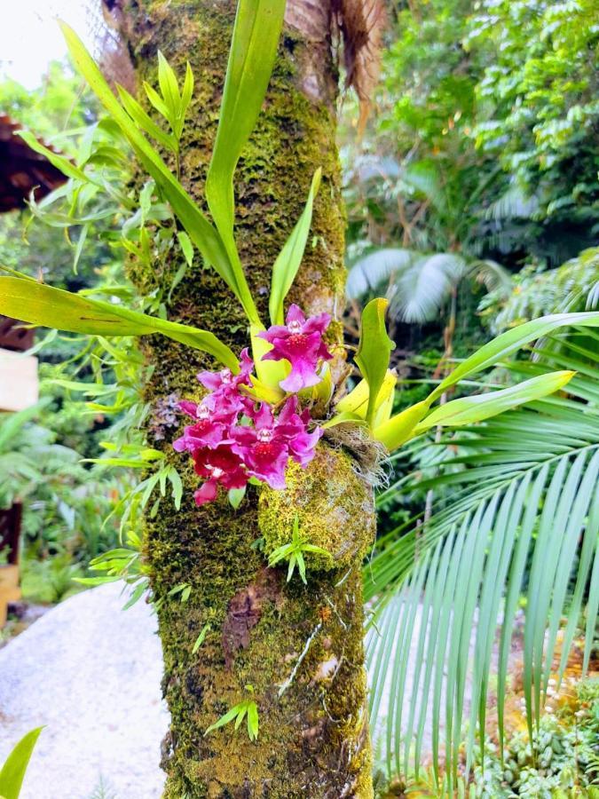 Pousada Recanto Dos Tangaras จูเกย์ ภายนอก รูปภาพ